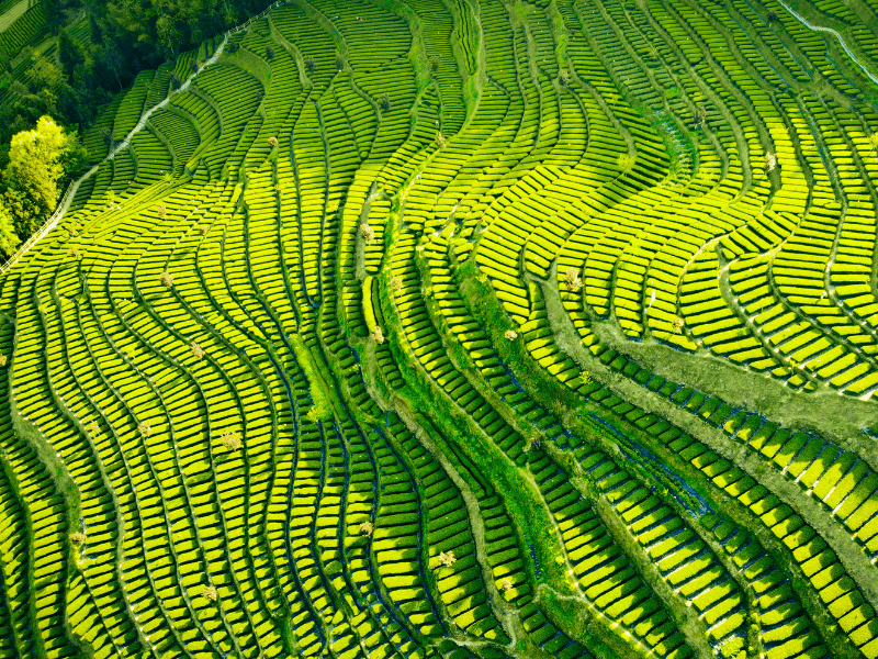 Card-Module-Foreign-Exchange-NEWWEB-CardOverlay_800x600