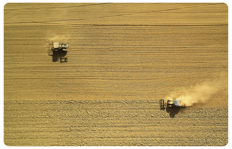 Caxton-Business-NEWWEB-CardFrame-Business-Harvest