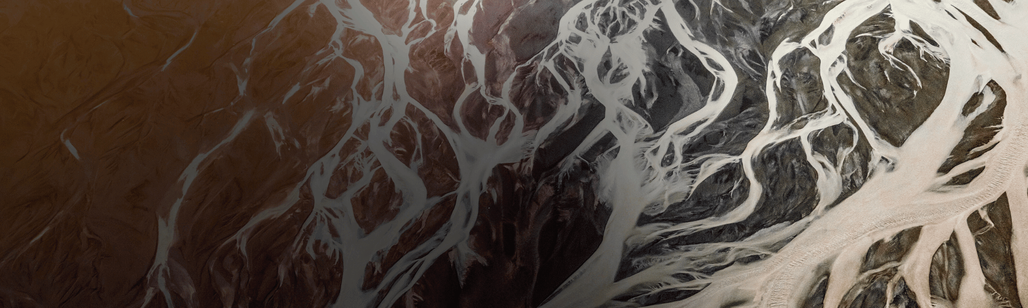 Caxton-NEWWEB-HERO-International-Payments-B2B