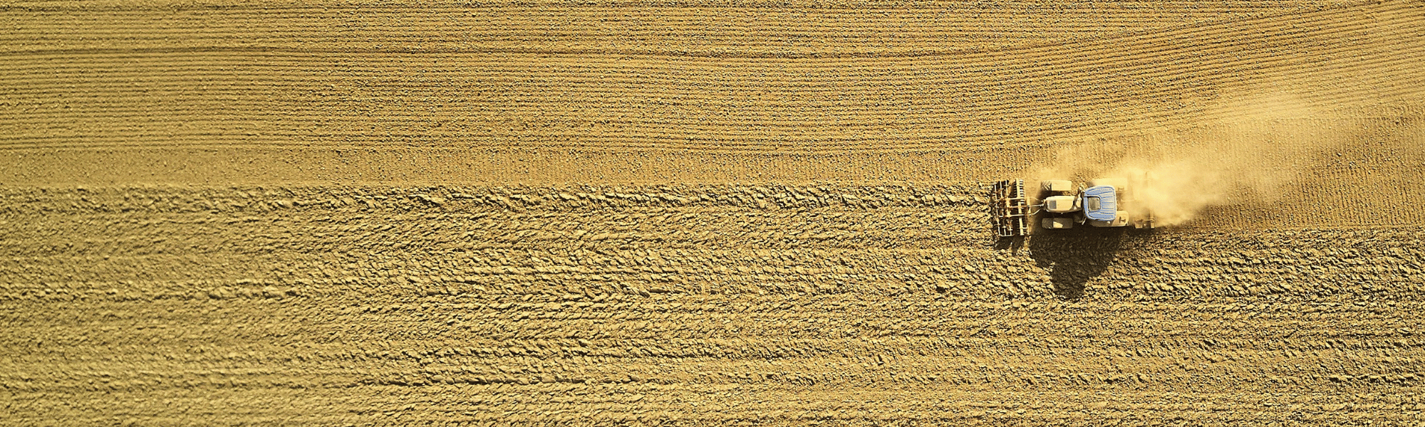 Caxton-NEWWEB-HERO-International-Payments-B2C1