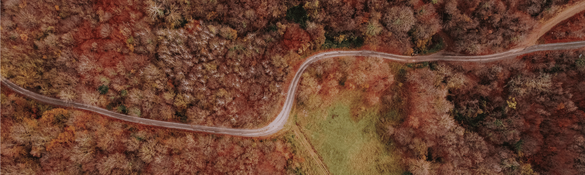 Caxton-NEWWEB-HERO-Option-Road