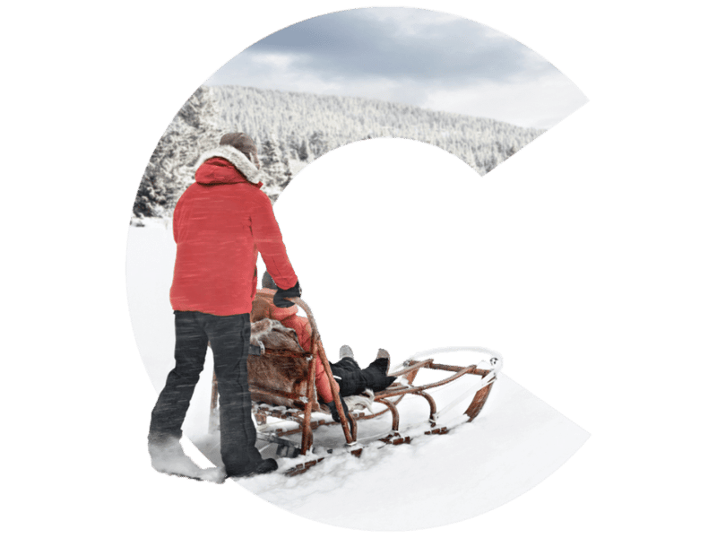 web_bigC_norway_sled_800x600