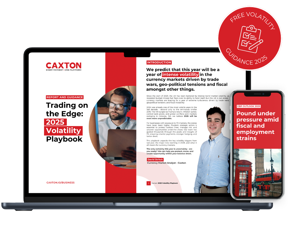 Hero_Volatility_Guide_2025_Business_1000x800