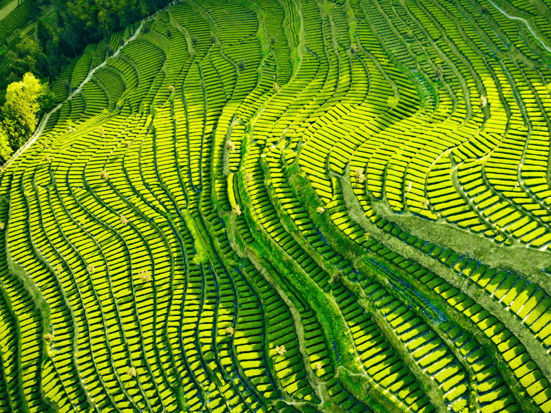 Card-Module-Foreign-Exchange