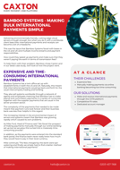 Case Study: Bamboo Systems