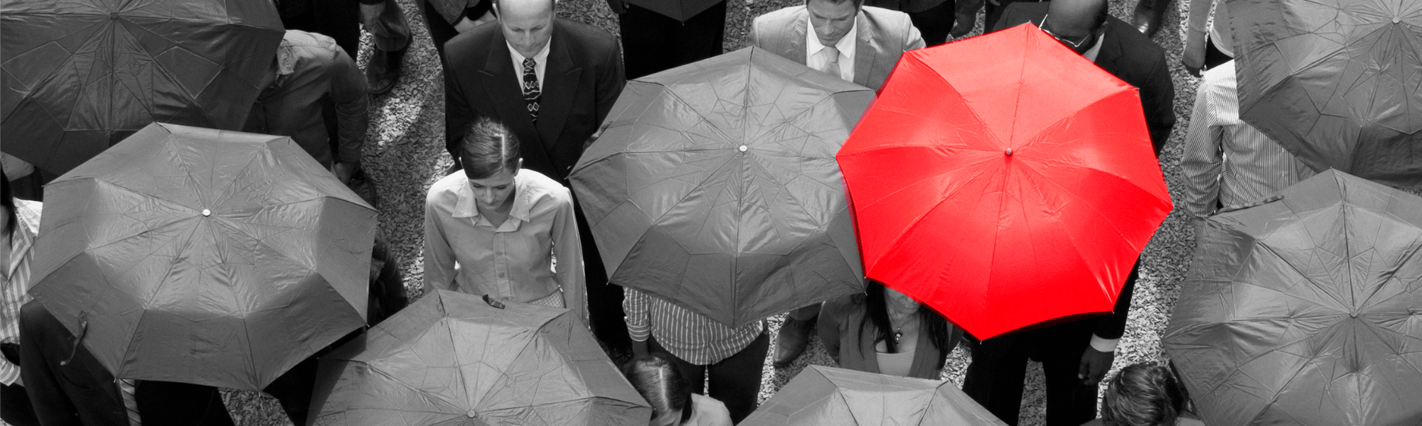 Caxton-WEB-HERO-Professional-Services