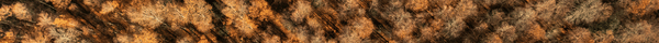 Internatonal-Payments-Caxton-Top-Banner3