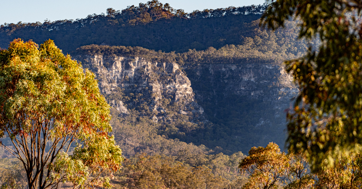 caxton_travel_money_Carnarvon_Gorge_Central_Queensland.png