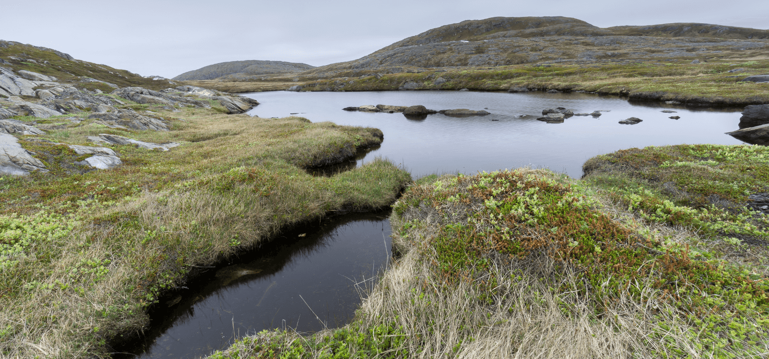 caxton-travel-smarter-blog-hidden-gems-in-canada-couples-getaway (1).png