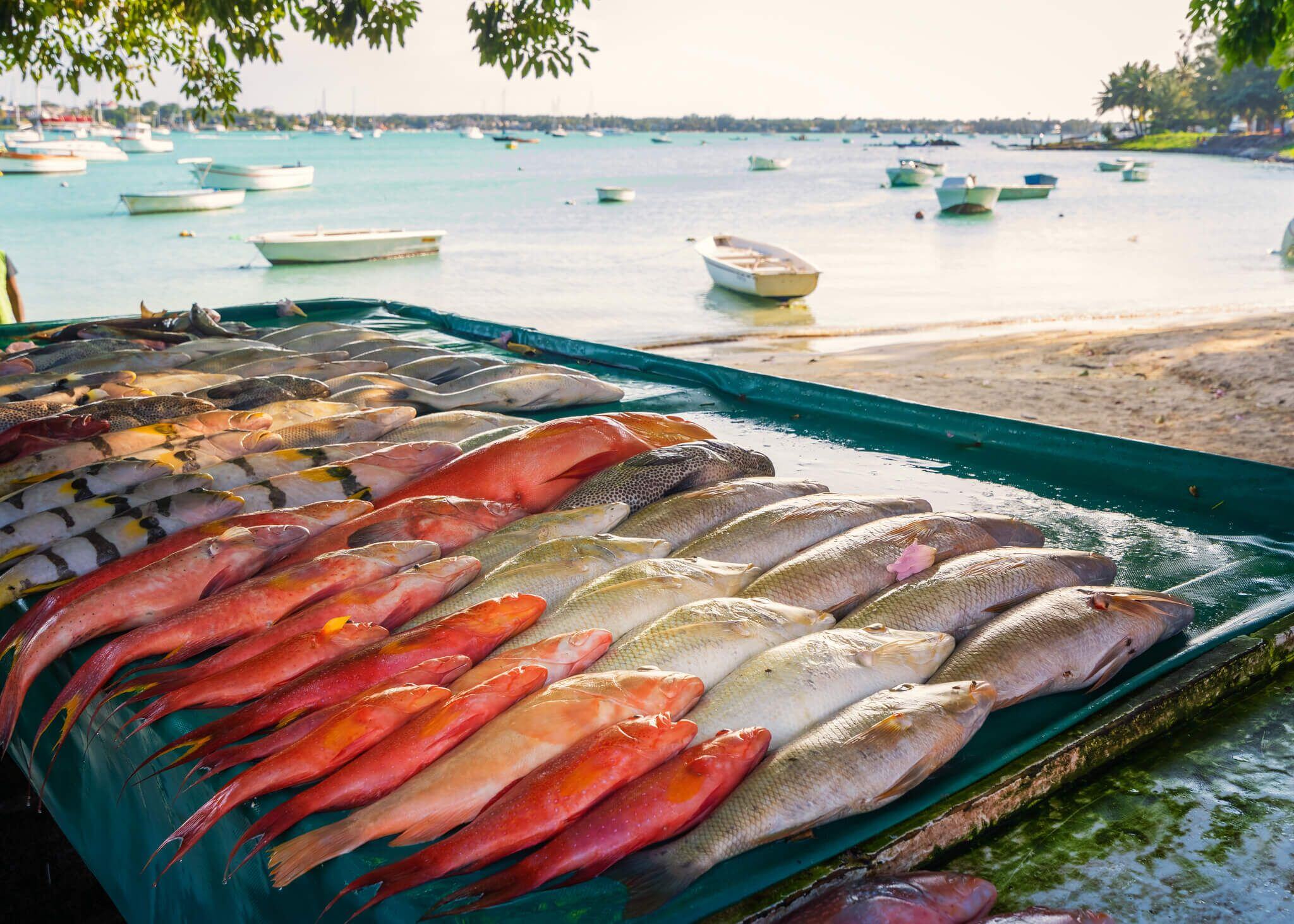 caxton-travel-smarter-blog-top-long-haul-holidays-in-2022-part-2-3.jpg